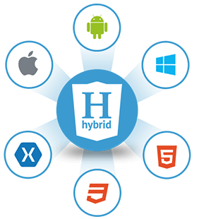 Hybrid App Developer